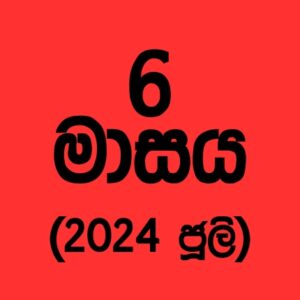 64 කණ්ඩායම – 2024 ජූලි